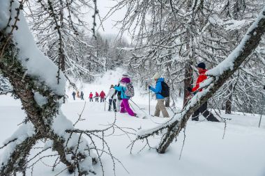 Schneeschuhwandern in Kärnten